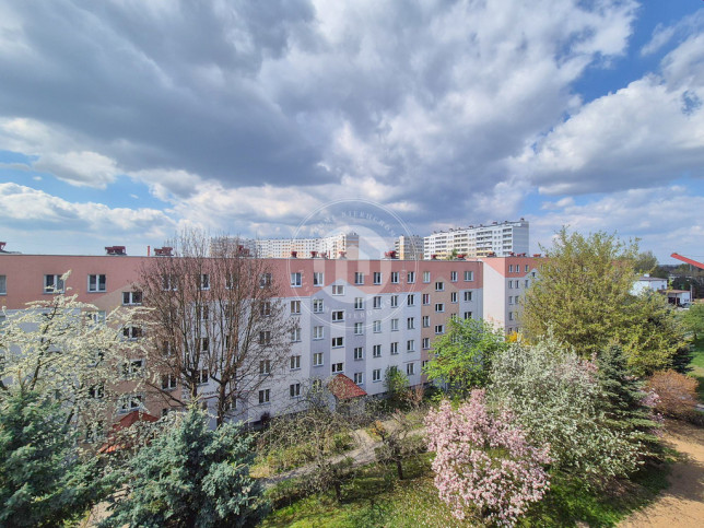 Mieszkanie Sprzedaż Rzeszów Stefana Starzyńskiego 7