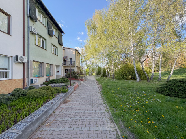 Lokal Sprzedaż Rzeszów 8