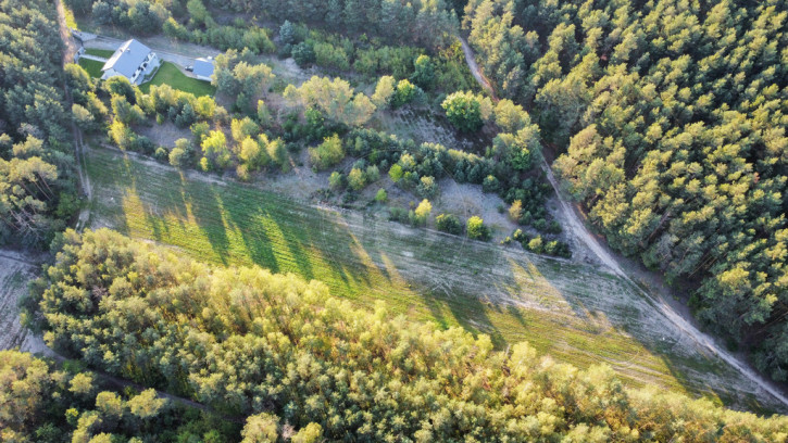 Działka Sprzedaż Pysznica 1