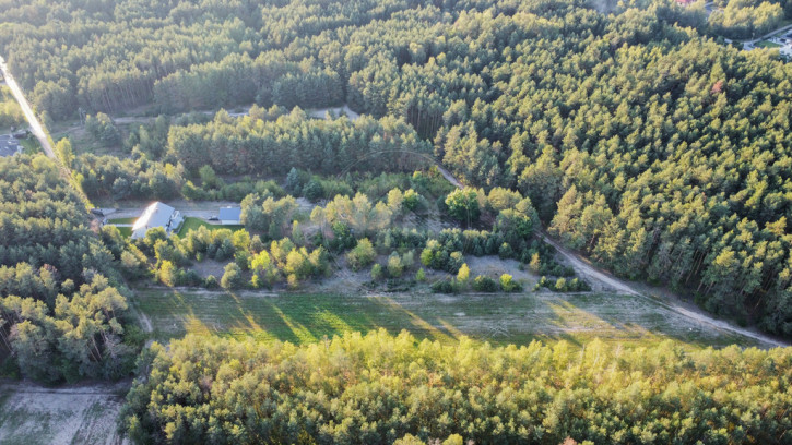 Działka Sprzedaż Pysznica 3