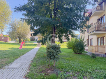 Mieszkanie Sprzedaż Rzeszów Aleksandra Zelwerowicza